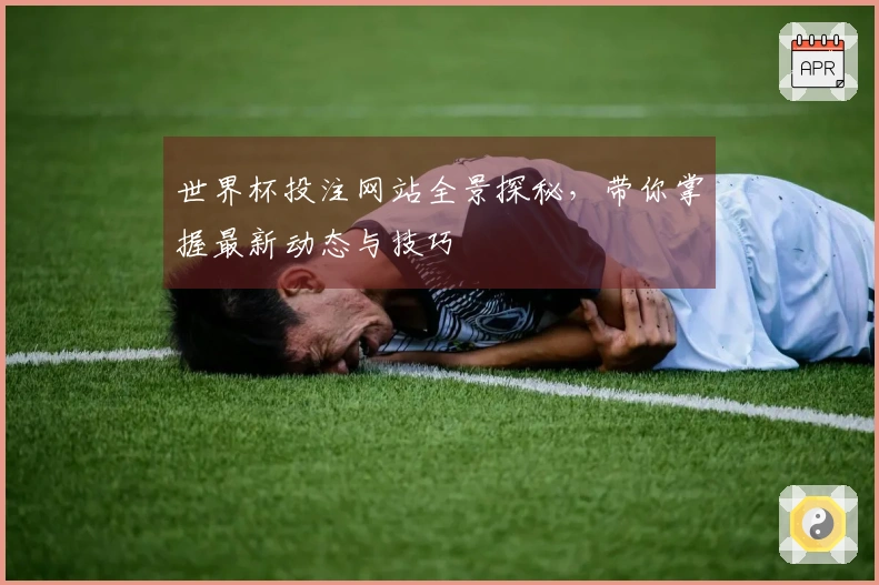 世界杯投注网站全景探秘，带你掌握最新动态与技巧